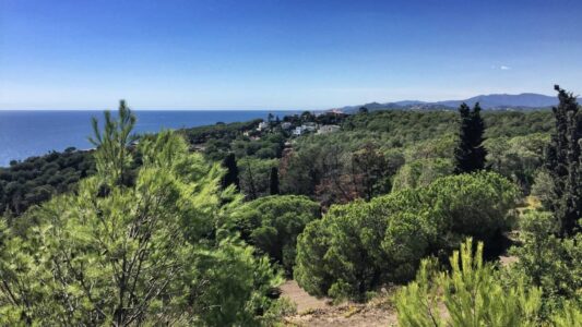 Kurz vor Lloret de Mar: Die Hochhäuser sind noch nicht zu erahnen sondern hinter dem nächsten Hügel versteckt