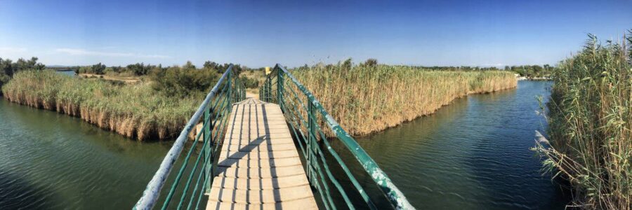 Bridges and watercourses accompany us on the way into the hinterland