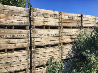 En la etapa 4 del GR-92 caminamos un poco por el interior de la Costa Brava. Entre otras cosas, aquí se cultiva fruta.