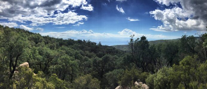 Between Sant Feliu de Guíxols and Tossa de Mar, the route leads along lonely paths into the hills of the hinterland.
